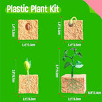 15 Plant Life Circle Flashcards With 4 Plastic Figurines-Seed To Plant, Plants Introduction Card Plants Growth Details For Nature Lovers & Adults, Montessori Toy For Kids