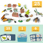 Life Cycle Learning Toys For Kids: Life Science Education Kits With Butterfly, Frog, Chicken, Mantis, Bee, Plants - 25 Pieces Animal Figurines Montessori Toys For Children Age 3 4 5 6 7 8+