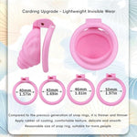 Small Chastity Cage Sex Toys Shell Penis Cage With 4 Different Sized Rings Cock Cage With Concealed Lock And Belt For Men'S Penis Bondage Lightweight Resin Chastity Device (A,Pink)