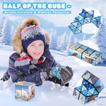 2 In 1 Magic Cube Set, Fidget Toy For Kids Adults, Yoshimoto Cube For Ages 8-12, Arctic/Antarctic Animals Puzzle Cube Fun Toy For Boys Girls (Polar Series)