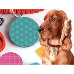 DIY Dog Tug Toy and Collar Kit for Kids and Adults - No-Sew Craft Project