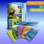 Thick Animal Cards For Toddlers 1–3 – First 100 Animals, Montessori Educational Learning Toys, Speech Therapy & Homeschool Use