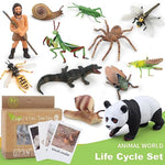 Montessori Life Cycle Animal Insect Figurines Learning & Education Toys, Plastic Insect Toys For Kids, Preschool Activities For Toddlers (Salmon)