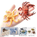 12Pcs Ocean Sea Animal Toys For Kids,Realistic Soft Plastic Shark,Whale,Dolphin,Hermit Crab,Octopus,Starfish,Sea Turtle,Party Favors Birthday Gifts Cake Toppers For Boys Girls