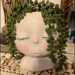 3 Pcs String of Pearls Plant Artificial Hanging Succulents Plants for Home Garden Decor (Pots Not Included)