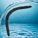 24Inch Super Long Double Ended Realistic Dildo Flexible Dildos For Anal Play G-Spot Stimulator Sex Toys For Women Men Couple