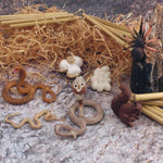 7Pcs Mini Cobra Animals Figures Tarantula Squirrel Snake Animal Toys Cobra Life Cycle Plastic Reptile And Amphibian Figurines Diorama Supplies Birthday Party Favors Cake Topper For Boys Girls Kid