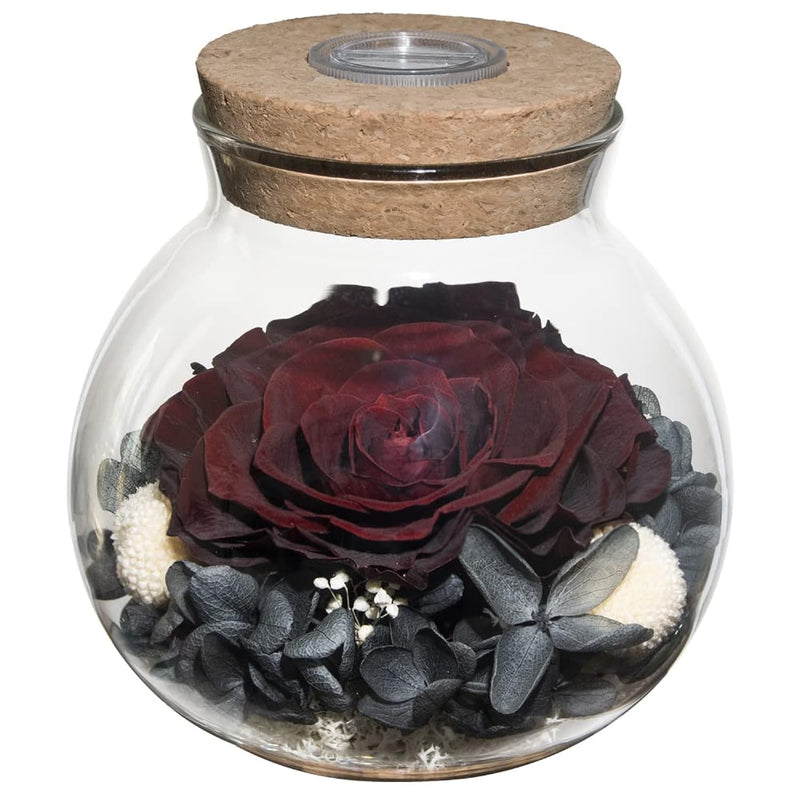 Preserved Real Roses With Colorful Mood Light Wishing Bottle,Eternal Rose,Neve