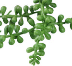 3 Pcs String of Pearls Plant Artificial Hanging Succulents Plants for Home Garden Decor (Pots Not Included)