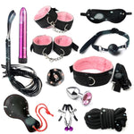 Adult Beginner Starter 12 Piece Set For Couples Various Alternative Erotic Accessories (Pink)