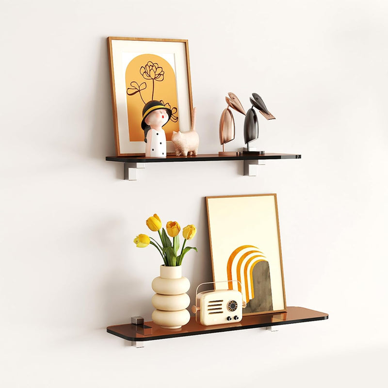 Clear Acrylic Shelf, Set Of 2 Invisible Wall Shelves Wall Mounted Display Shel