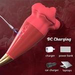 2-in-1 Clitoral & G-Spot Vibrator – High-Frequency Licking & 10 Vibration Modes