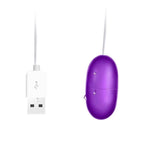 Bullet Vibrator,Bullet Egg Vibrator with Wired Waterproof Clitoral Stimulator Vaginal Prostate Massager Sex Toys Vibrating Eggs Multispeed G Spot Massage USB Sex Toys for Women(Purple)