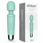 Mini Wand Vibrator Massager, Black
