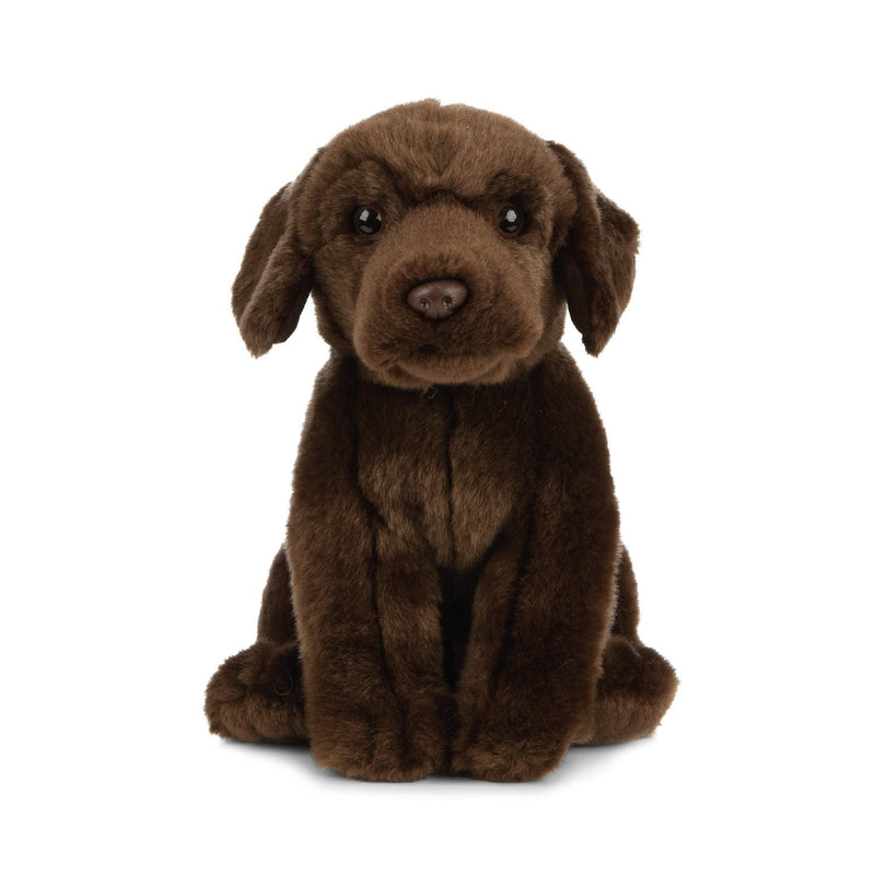 Chocolate Labrador Stuffed Animal Fluffy Dog Animal Soft Toy Gift For Kids 8 I