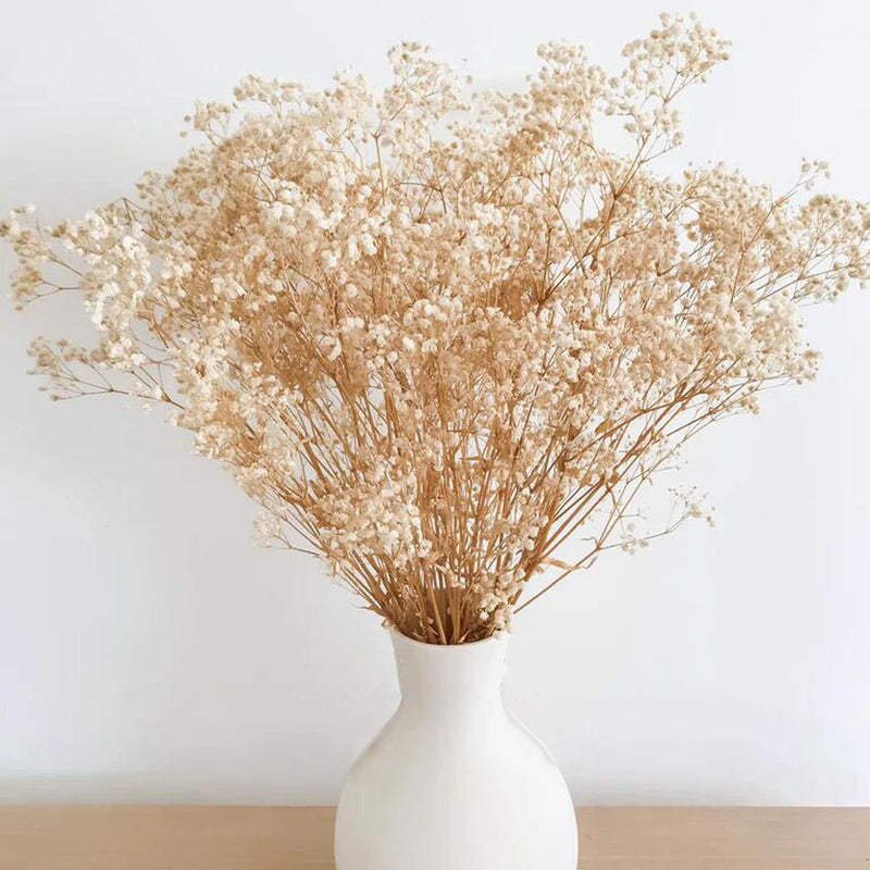 Dried Flowers Babys Breath Flowers Bouquet With Lights,17.2 Inch 3000+ Natural