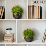 Artificial Plants for Office Décor, Desk Plant Decor, Office Desk Decor, Bathroom Shelf Decor - Masculine Home Decor, Mini Faux Plants Indoor, Small Fake Plant Greenery (2 Pack)