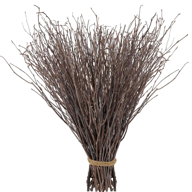 60Pcs Real Dried Birch Twigs Plants Branches - 17” Natural Autumn Decorative B