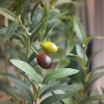 Faux Olive Tree 6ft,Olive Trees Artificial Indoor with Natural Wood Trunk and Realistic Leaves and Fruits. 6 Feet(72in) Fake Olive Tree for Home House Office Décor.