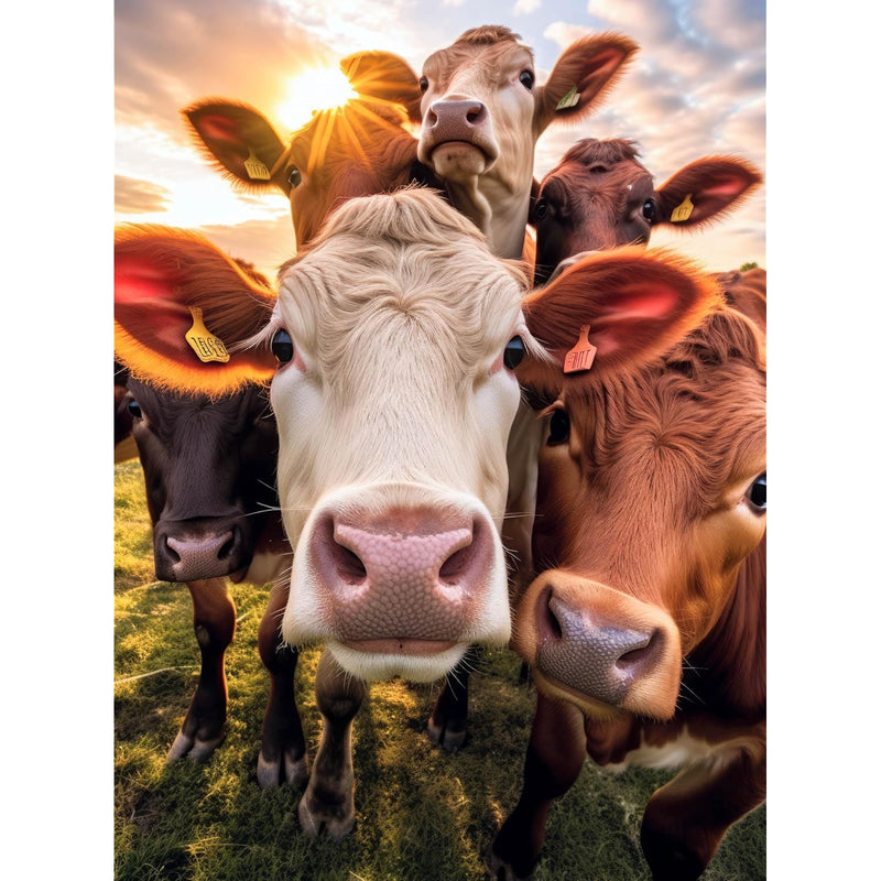 A Moo Vellous Selfie: Premium Quality 1000 Piece Jigsaw Puzzle For Adults B