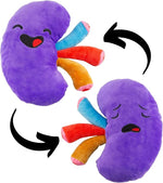 Attatoy Plush Kidney, Stuffed Body Organ Toy for Get Well Gift, Health Education and More