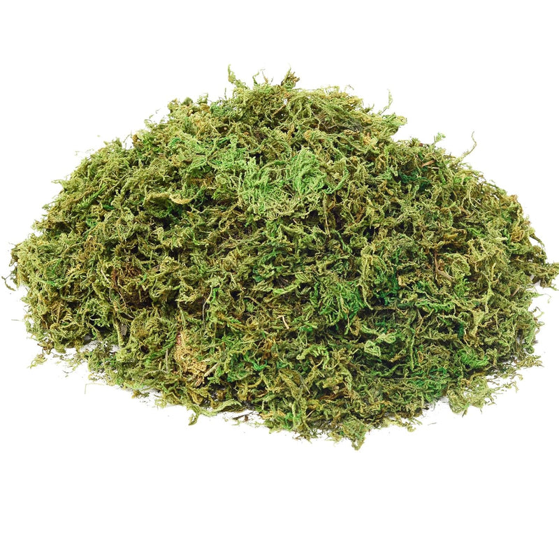 Fake Moss Artificial Moss For Potted Plants Greenery Moss(4Oz) Home Decor Fair