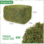 17.6 OZ Artificial Moss for Potted Plants,Natural Fake Moss Grass Fresh Green Moss for Hamsters,Craft Moss and Greenery Bulk for Garden Wedding Decoration