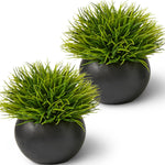 Artificial Plants for Office Décor, Desk Plant Decor, Office Desk Decor, Bathroom Shelf Decor - Masculine Home Decor, Mini Faux Plants Indoor, Small Fake Plant Greenery (2 Pack)