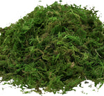Artificial Moss, 16OZ Fake Moss for Crafts, Decorative Moss for Table Centerpieces Fairy Garden Wedding Party Decor, Faux Moss for Potted Plants, 455gr (Fresh Green)