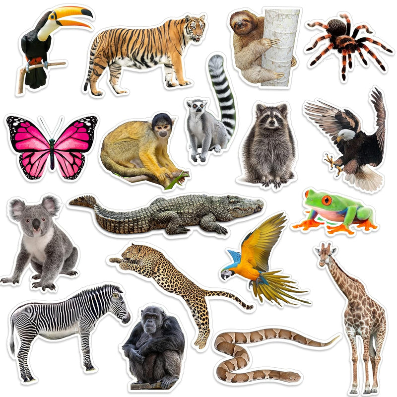 36 Pcs Jumbo Realistic Rainforest Cutouts Safari Animal Cut Out For Kids Wild