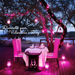 Pink Valentine'S Day Decorations, 33Ft 100 Led Battery Operated Christmas String Lights, Twinkle Fairy Mini Lights With 8 Modes Remote Indoor Outdoor Waterproof