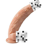 12" Dual-Layer Realistic Dildo – Flexible Silicone with Suction Cup for Hands-Free Play