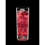 On The Rocks 15 Oz Beverage Drinking Glasses Set Of 4