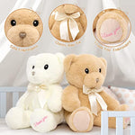 Stuffed Teddy Bears Baby Shower for Girl & Boy