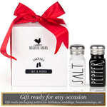 Stainless Steel Lid Glass Salt and Pepper Shakers