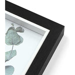 Decorative Pictures Frames Comes In Multiple Sizes Colos