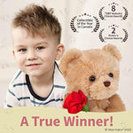 9.5 Inch Classic Plush Remington The Teddy Bear Stuffed Animal