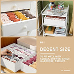 Fabric Foldable Dresser Closet Organizers