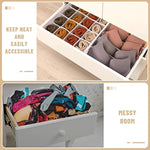 Fabric Foldable Dresser Closet Organizers