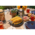 Bbq Tool Aluminum Carrying Case Deluxe Grill Set 20 Piece