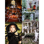 Scary Fake Spider for Indoor Outdoor Halloween Decor for Home Party