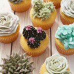 Bakeware Muffin Pan Cupcake