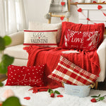 Valentines Day Special Pillow Covers