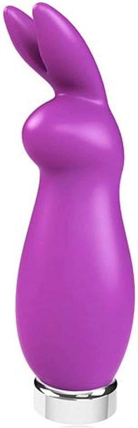 Rechargeable Bunny Bullet Vibrator – Clitoral Stimulator & Adult Toy for Women (Purple)