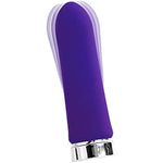 Bam Bullet Vibrator, Rechargeable Waterproof 10 Vibration Mode Adult Sex Toy, Purple
