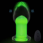 Remote Control Vibrating Anal Plug, 10 Modes Prostate Massager for Men & Women