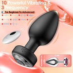 Dual Anal Plug Vibrator – Remote Control, 10 Modes, Prostate Massager for Men & Women