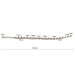 Elite Bent Stainless Steel Beads Urethral Sounds Plug, Two Size Bead