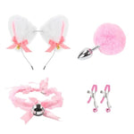 Cozy Leather Plush Erotica With Cat Ears Accessories 4 Piece Gift Set For Men And Women (Pink)