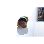 8 Inch Guinea Pig Plush Toy Stuffed Animal Toy Plush Animal Doll (Black)